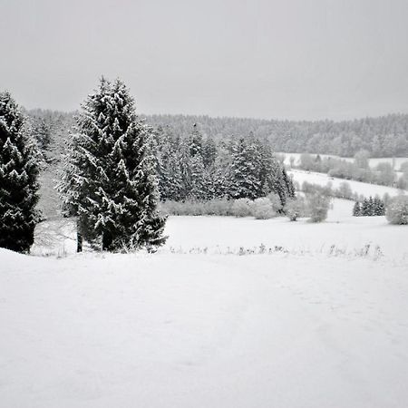 Fewo Radi An Der Buchberger Leite Apartamento Hohenau Exterior foto