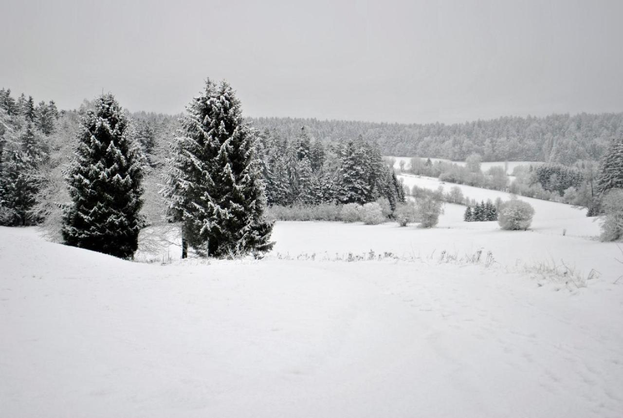 Fewo Radi An Der Buchberger Leite Apartamento Hohenau Exterior foto