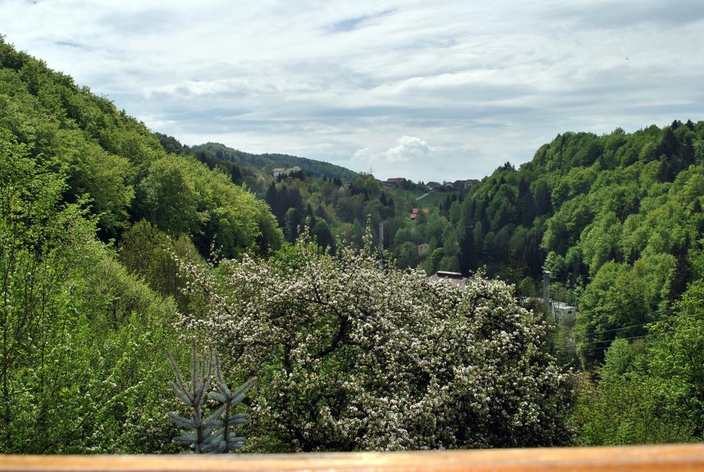 Fewo Radi An Der Buchberger Leite Apartamento Hohenau Exterior foto