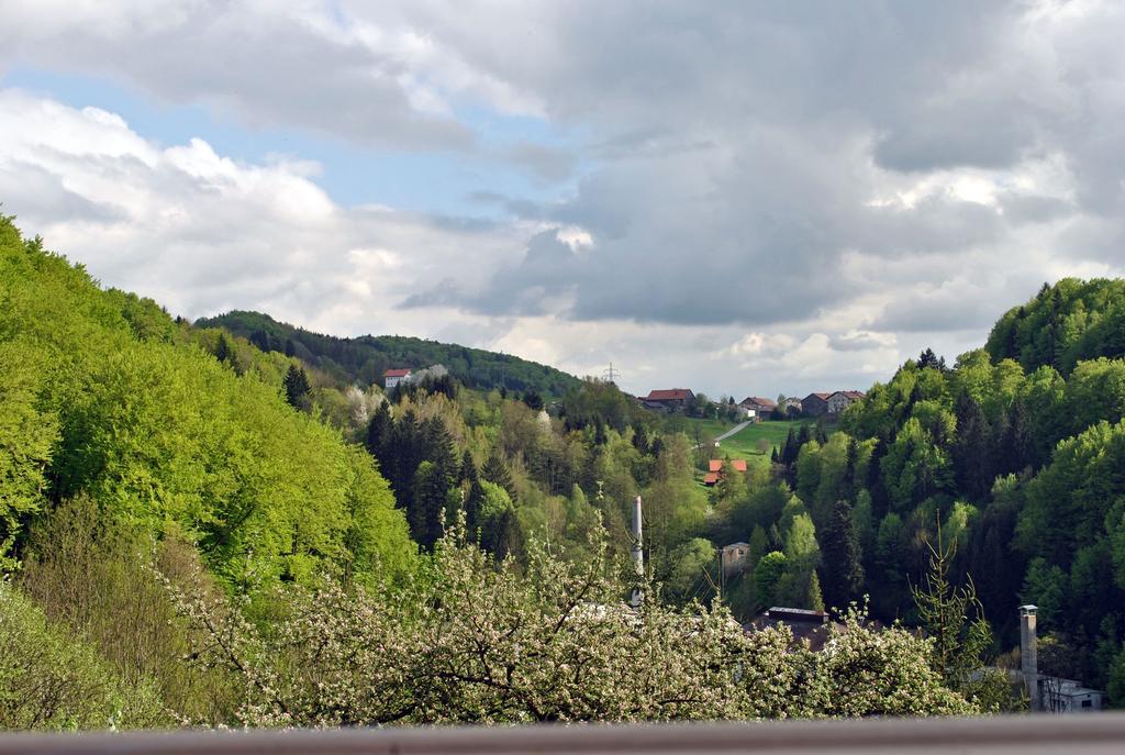 Fewo Radi An Der Buchberger Leite Apartamento Hohenau Exterior foto